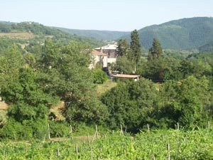 Agriturismo Borgo Chianaiole