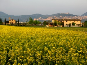 Valle di Assisi Hotel & Resort